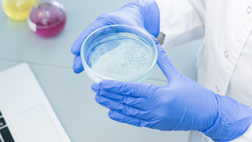 Laboratory Petri dishes and culture dishes for microbiology – Biotc Labware